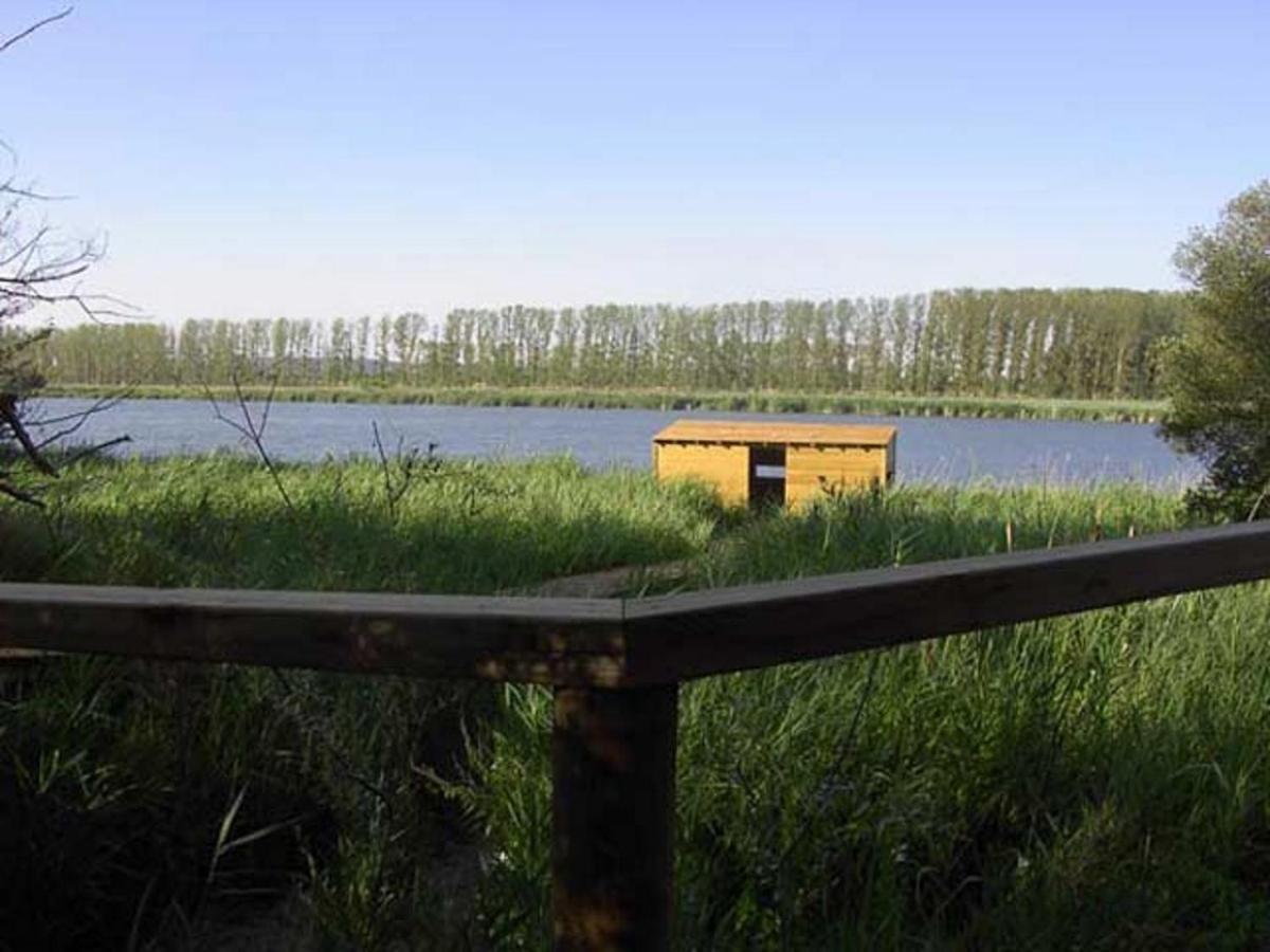 Castronuno Beautiful Alamedas - Una Casa Rural Con Una Historia Unica المظهر الخارجي الصورة
