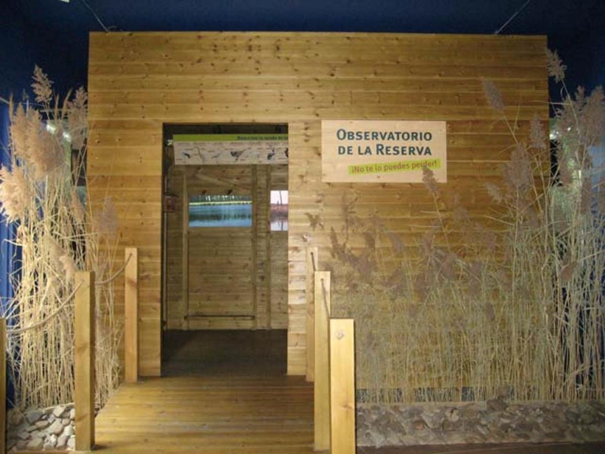 Castronuno Beautiful Alamedas - Una Casa Rural Con Una Historia Unica المظهر الخارجي الصورة