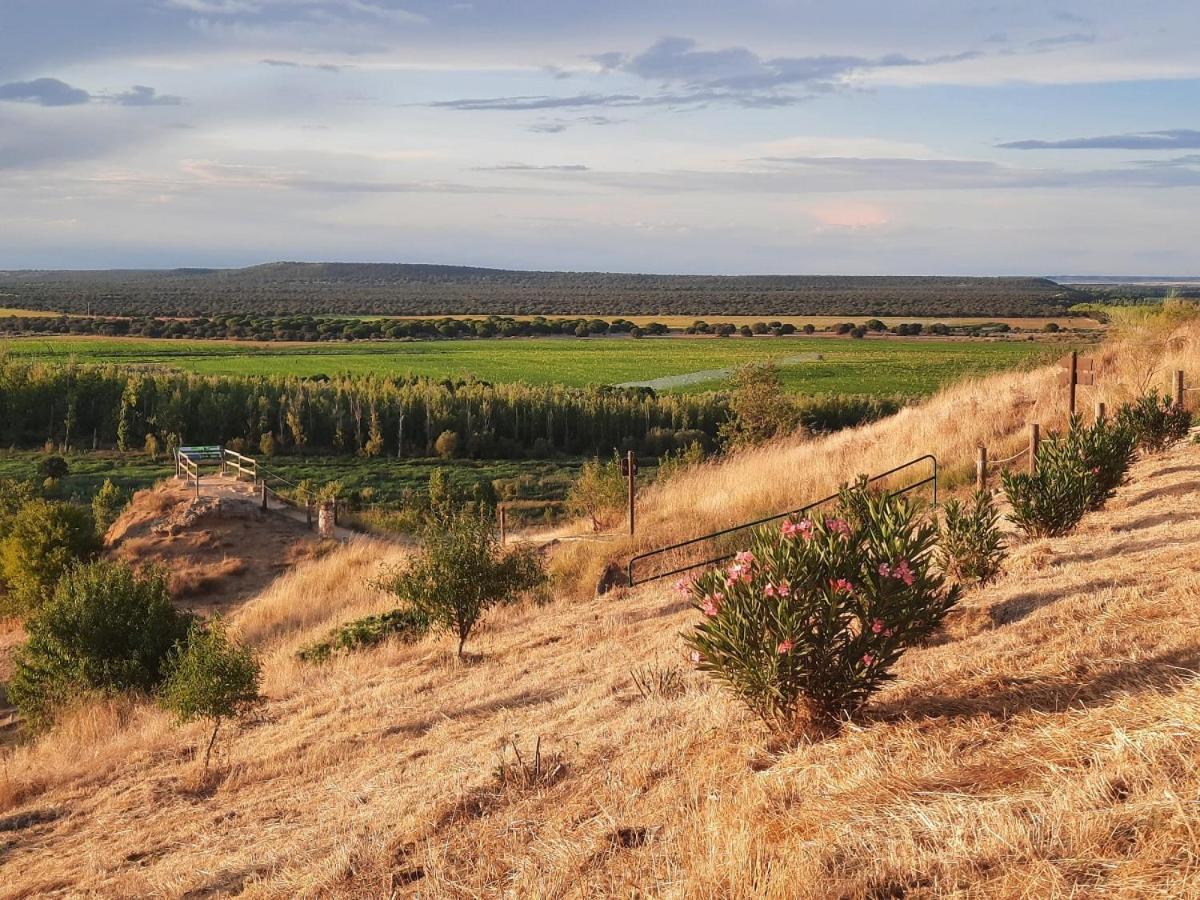 Castronuno Beautiful Alamedas - Una Casa Rural Con Una Historia Unica المظهر الخارجي الصورة