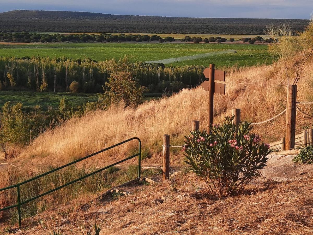 Castronuno Beautiful Alamedas - Una Casa Rural Con Una Historia Unica المظهر الخارجي الصورة
